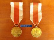 Złoty medal Za Zasługi Dla Pożarnictwa